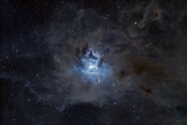 Iris Nebula