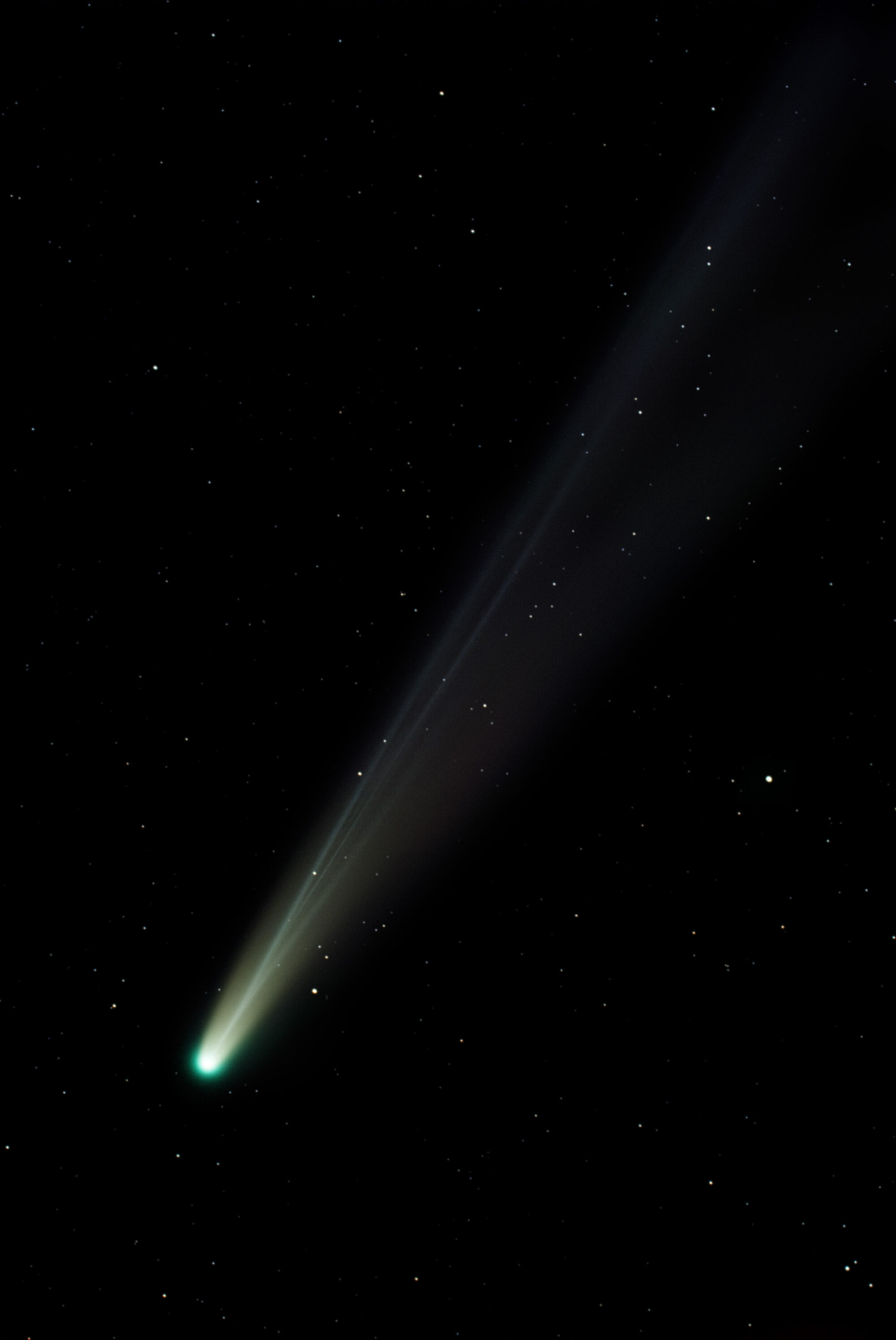 Comet C/2025 A6 (Lemmon)
