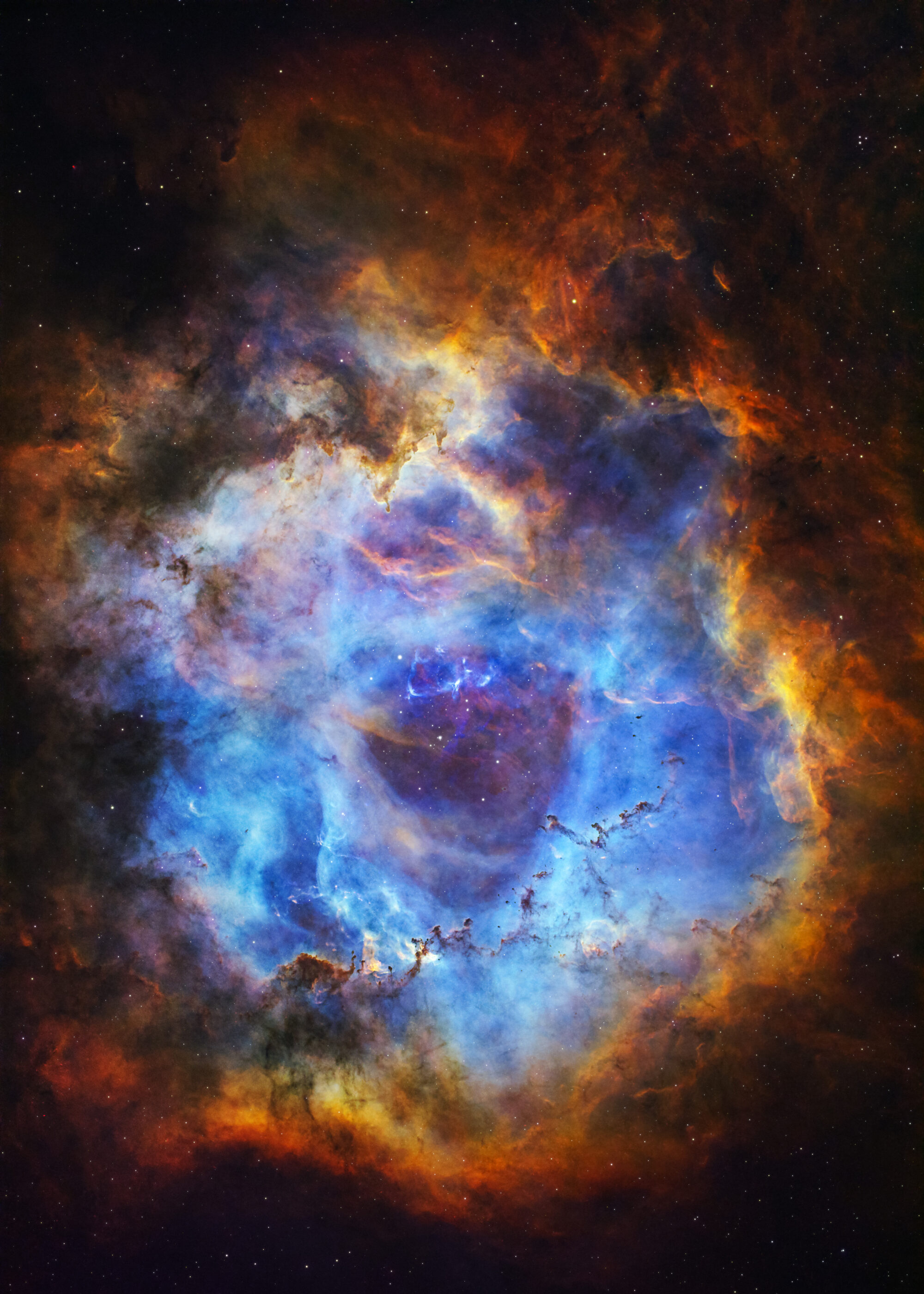 Rosette Nebula SHO
