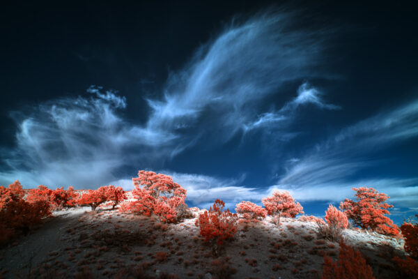 Blue Skies - Infrared Color