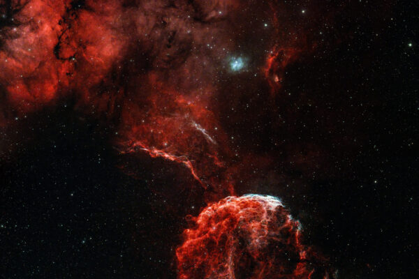 Jellyfish Nebula
