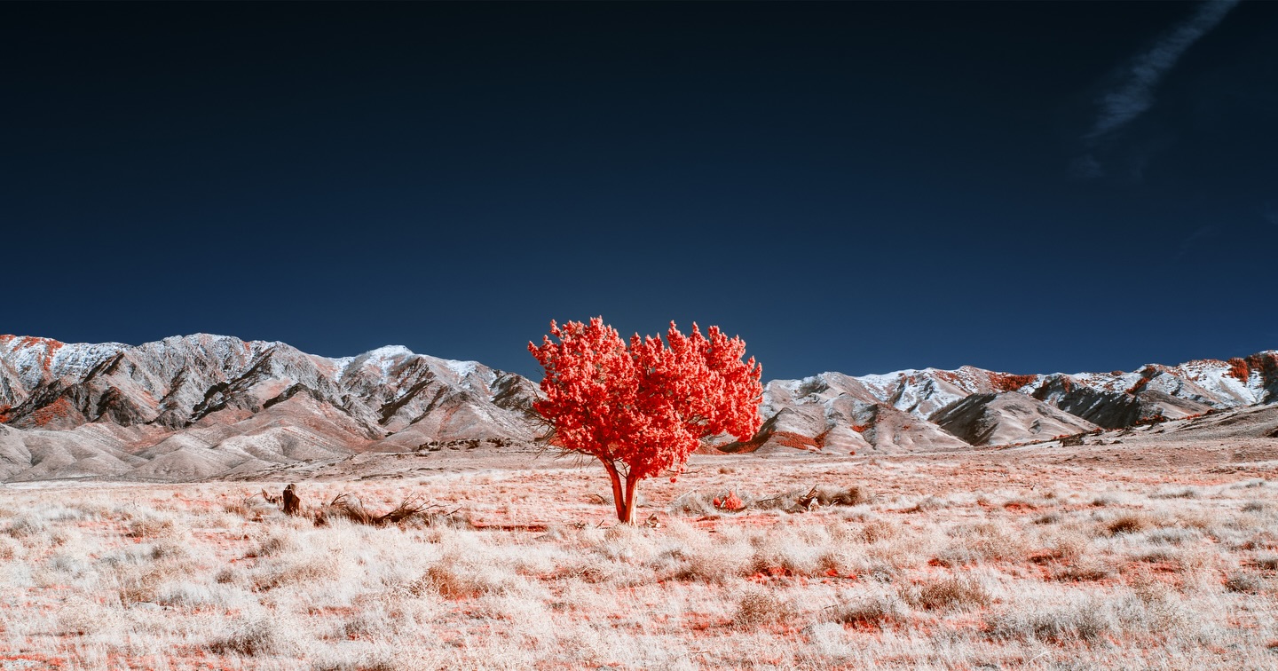 A little infrared serenity for y’all. some of us probably need it right now. (Sony A7 III full-spectrum modified, Sirui Saturn 50mm T2.9 1.6x anamorphic lens, Kolari Vision 590nm infrared pass filter, captured near Dugway, UT)